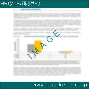 グローバルリサーチ調査レポートのイメージ